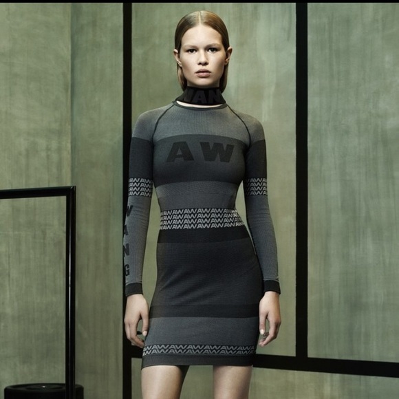 Alexander Wang Dresses & Skirts - NWT Alexander Wang x H&M Bodycon Dress S